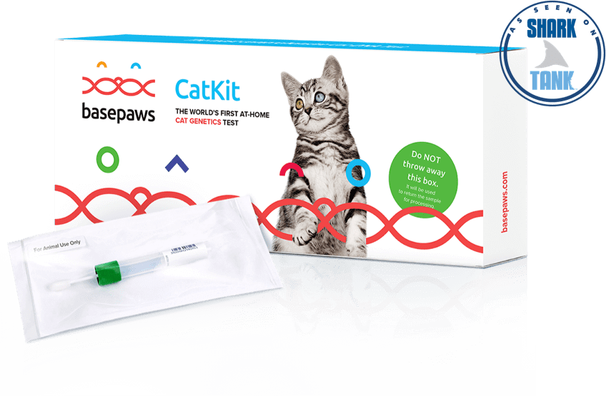 CatKit sample